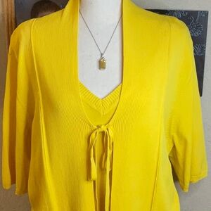 Kari Yellow Sweater 2 Pc Set